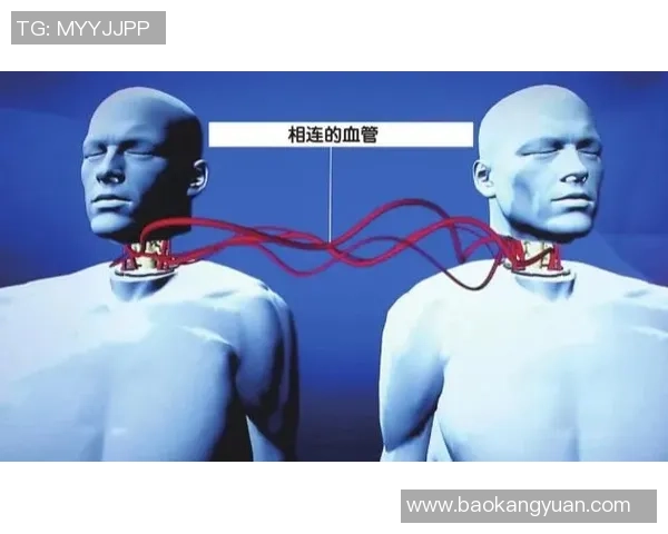 上海足球队防反战术解析：深度剖析其成功背后的秘密与策略